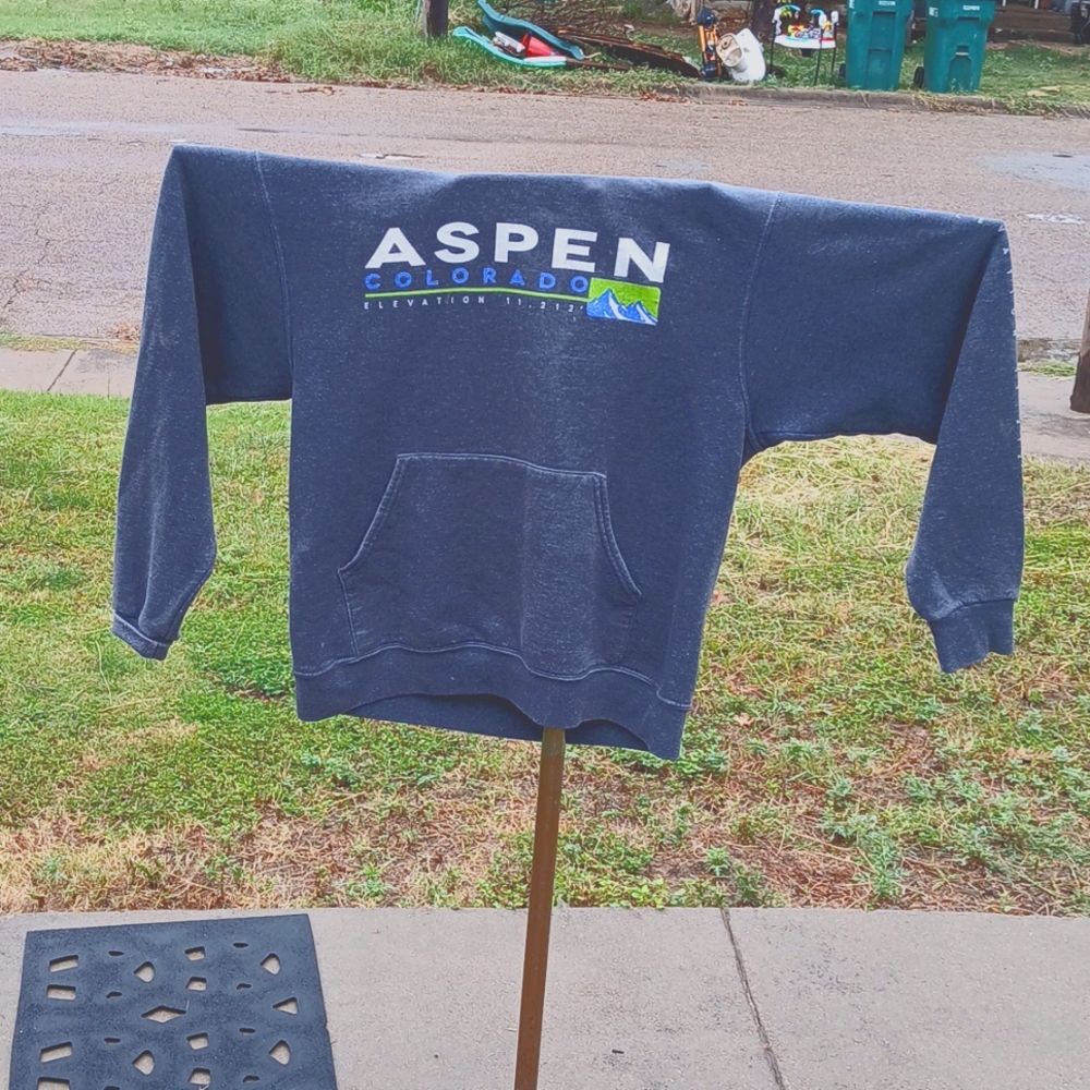 Sweat shirt with a Hoodie